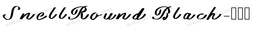 SnellRound Black字体转换